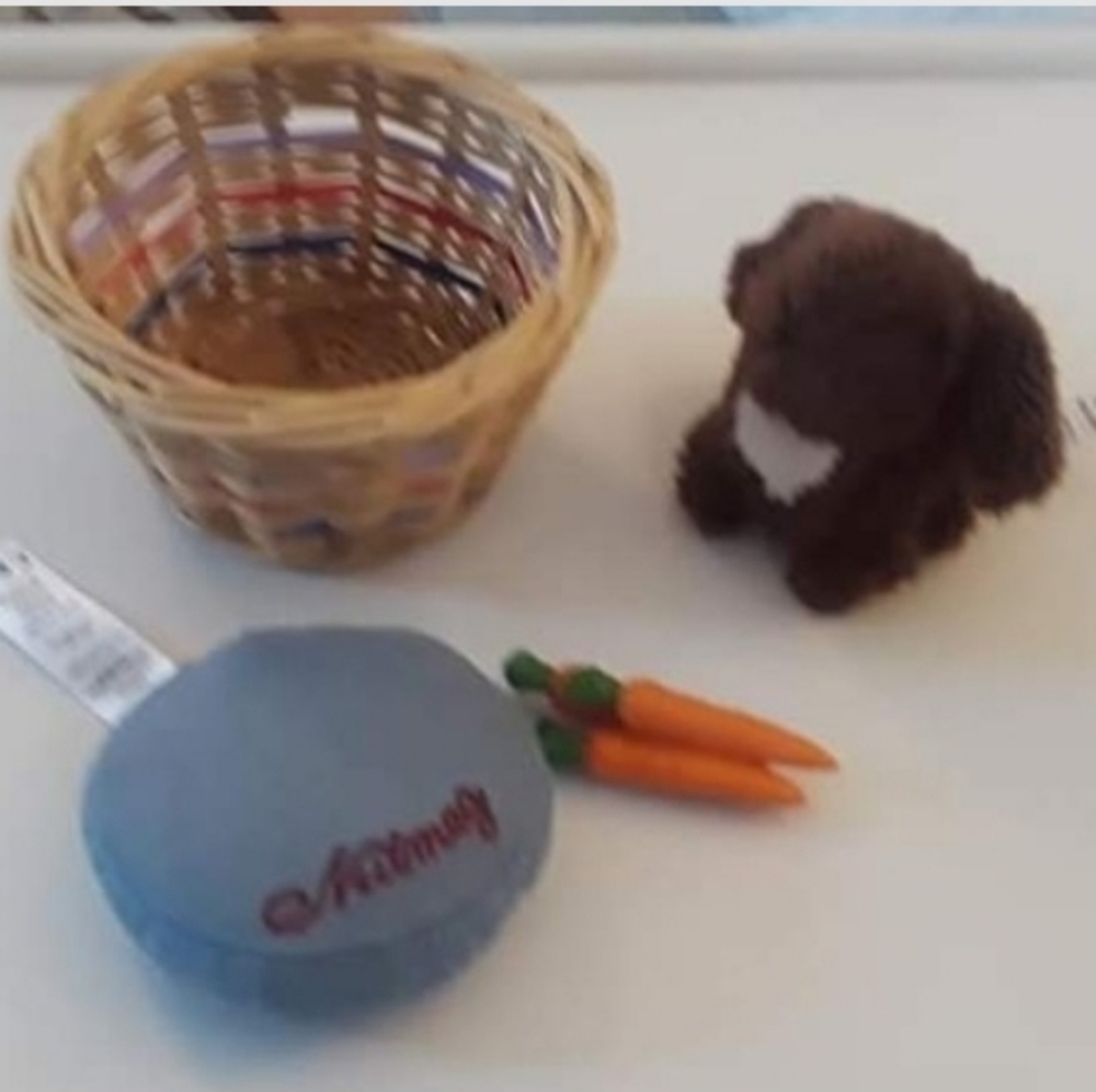 American Girl Doll Julie’s Pet Bunny, Basket, Pillow, Carrots